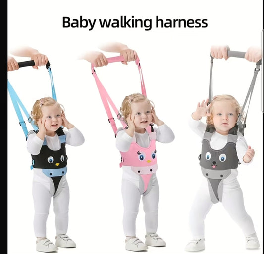 Fynbos baby penguin walking harness